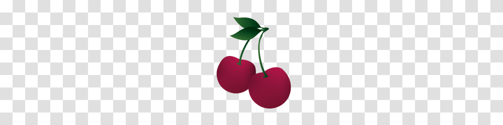 Sweet Cherry Fruit Strawberry Gift Cherry Tree, Plant, Food, Balloon Transparent Png