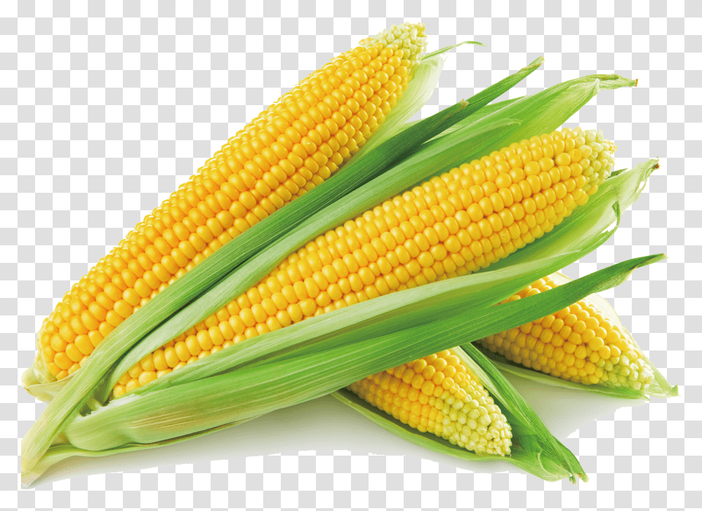 Sweet Corn Corn On The Cob Corn Soup Maize Vegetable Corn Transparent Png
