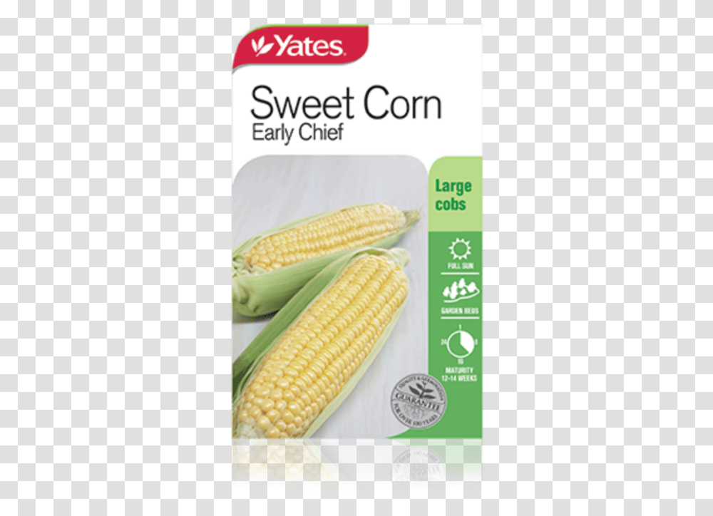 Sweet Corn Early Chief Yates Sweet Corn, Plant, Vegetable, Food, Grain Transparent Png
