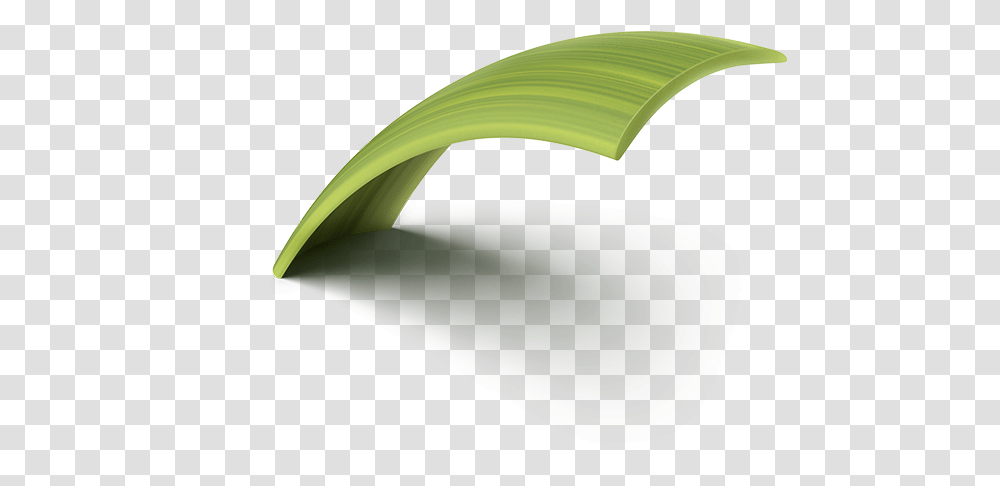 Sweet Grass, Plant, Food, Rug Transparent Png