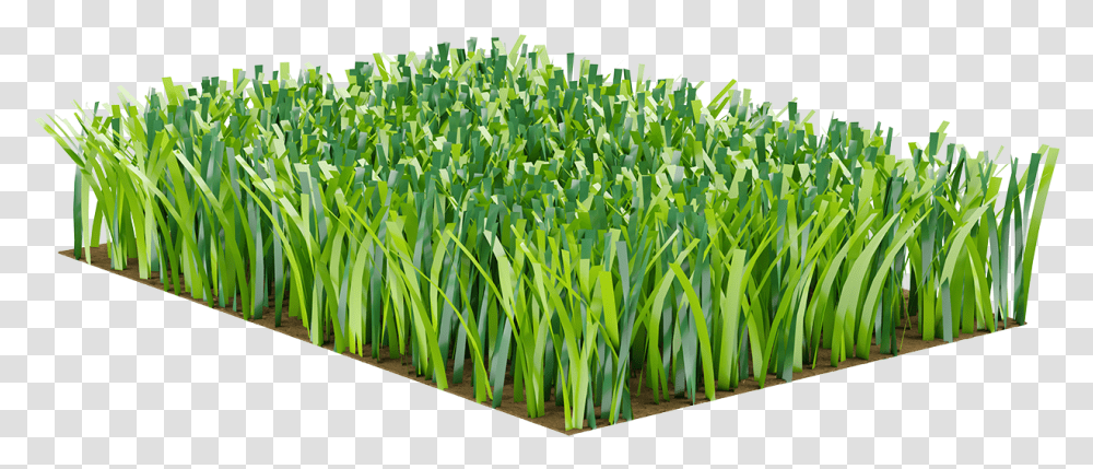 Sweet Grass, Plant, Produce, Food, Vegetable Transparent Png