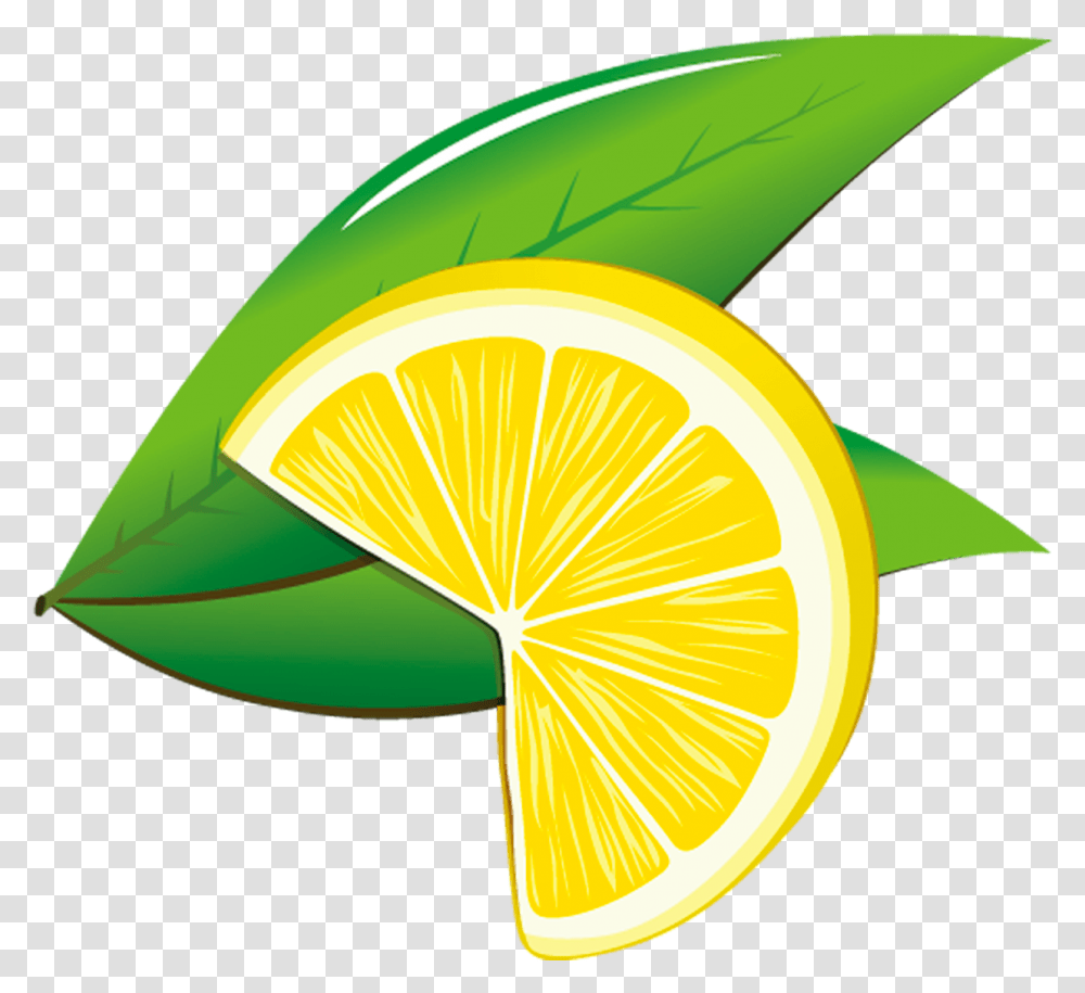 Sweet Lemon, Citrus Fruit, Plant, Food, Lime Transparent Png