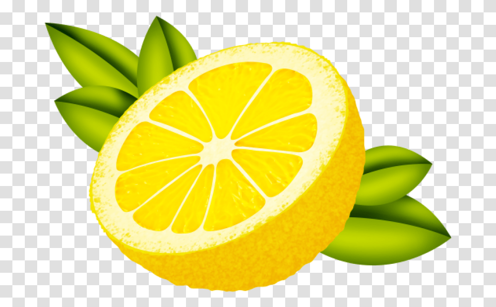 Sweet Lemon, Plant, Citrus Fruit, Food, Sliced Transparent Png