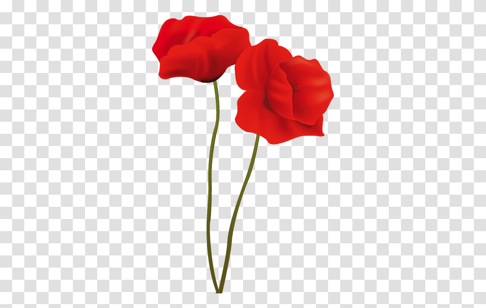 Sweet Love U Mom Free Images Of Poppy Flower, Plant, Blossom, Petal, Rose Transparent Png