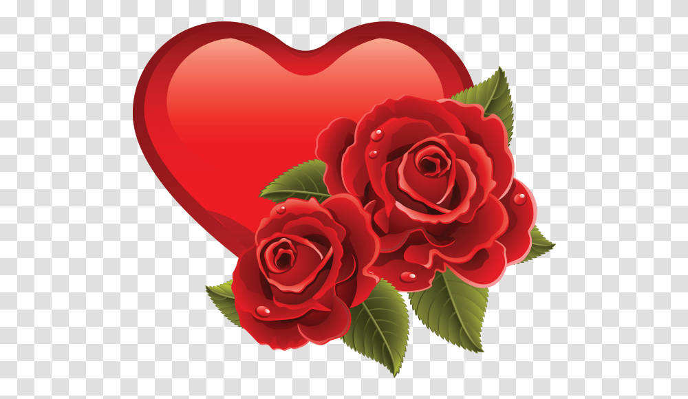 Sweet Memoriesred Roses Touch My Heartas Does Your Beautiful Rose Photo Download, Flower, Plant, Blossom, Petal Transparent Png