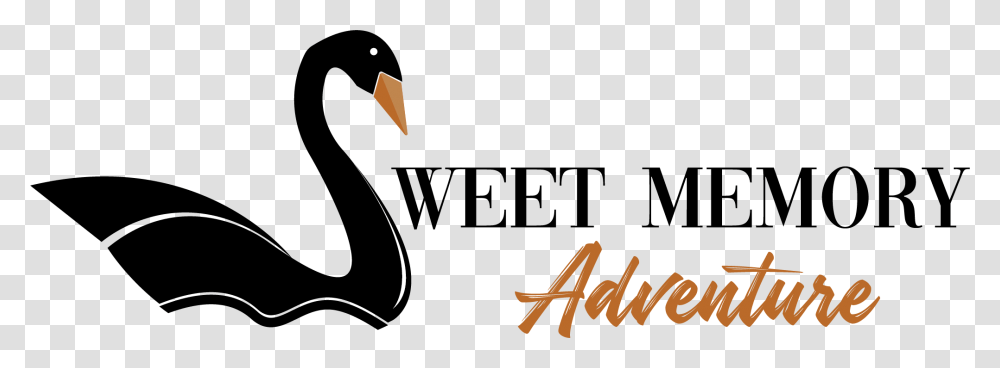 Sweet Memory Adventures Black Swan, Animal, Hammer, Tool, Bird Transparent Png