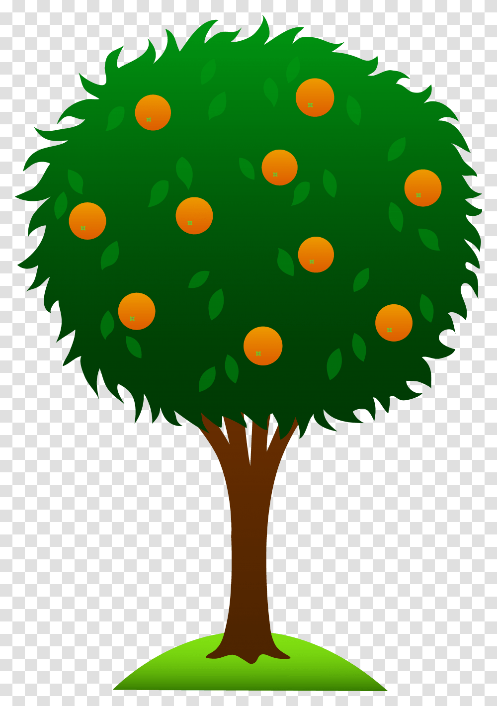 Sweet Orange Tree, Plant, Sphere Transparent Png