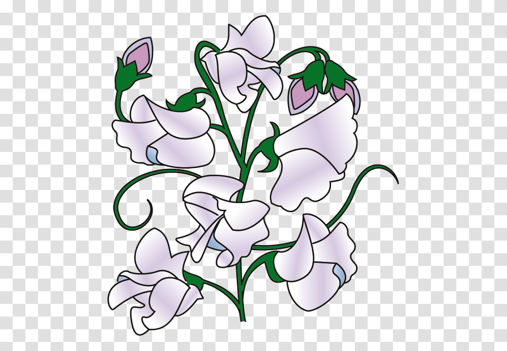 Sweet Pea Border Clipart Sweet Pea Flower Cartoon Cartoon Sweet Pea Flower, Plant, Blossom, Painting Transparent Png