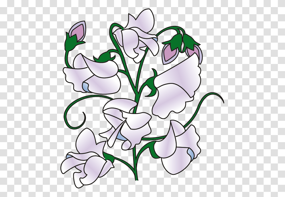 Sweet Pea Flower Clip Art, Plant, Floral Design, Pattern Transparent Png