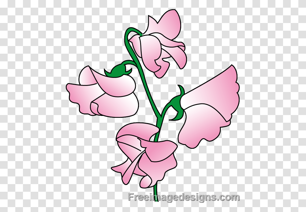 Sweet Pea Flower Tattoo Black And White, Plant, Blossom Transparent Png