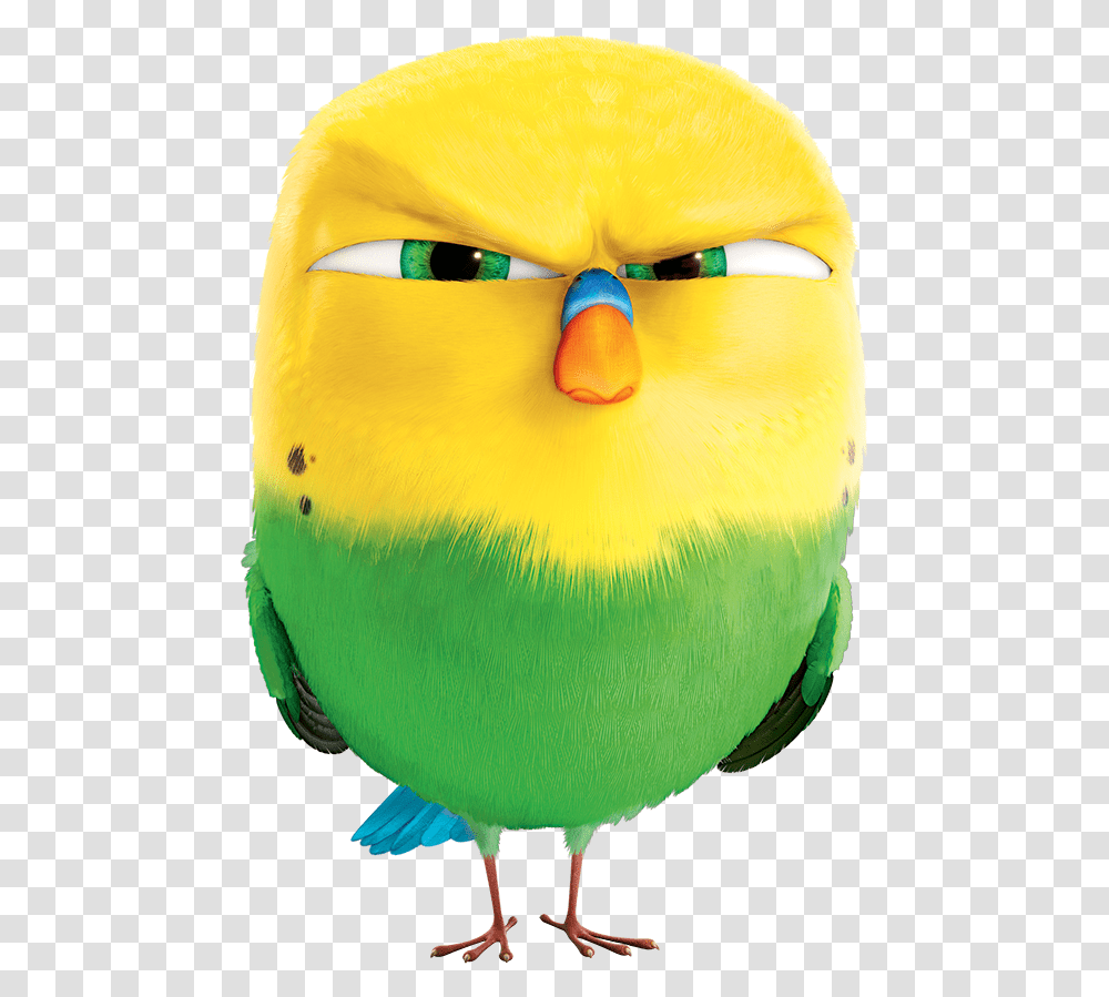 Sweet Pea Pets Secret Life Of Pets Sweetpea, Bird, Animal, Toy, Angry Birds Transparent Png