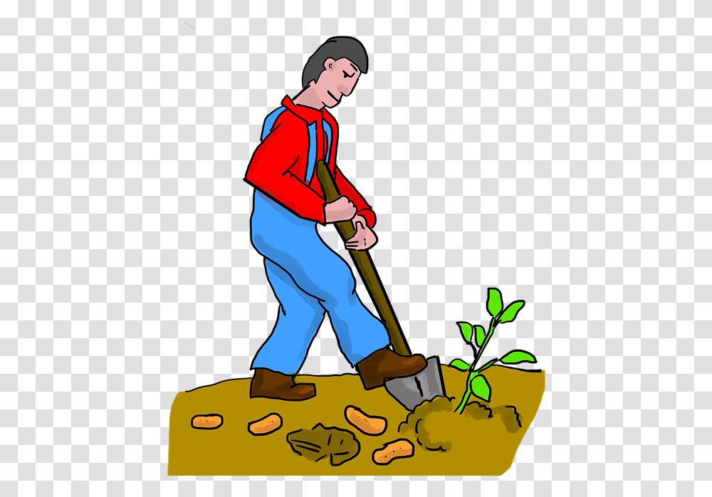 Sweet Potato Digging Dig Potato Potatoes Farmer Dig, Person, Human, Outdoors, Cleaning Transparent Png
