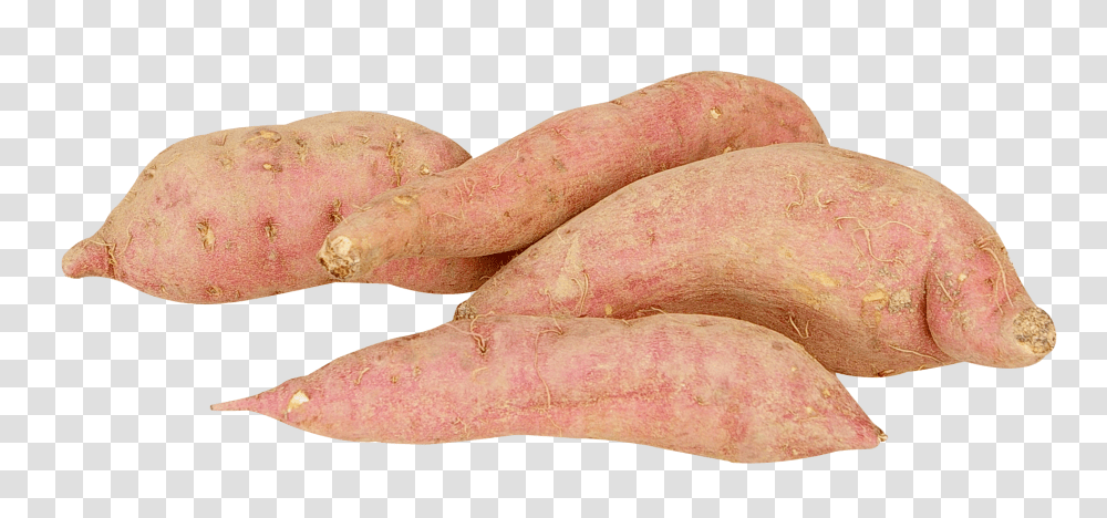 Sweet Potato Image, Vegetable, Plant, Food, Produce Transparent Png