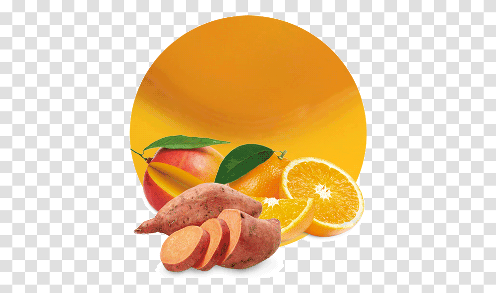 Sweet Potato Valencia Orange, Plant, Fruit, Food, Citrus Fruit Transparent Png