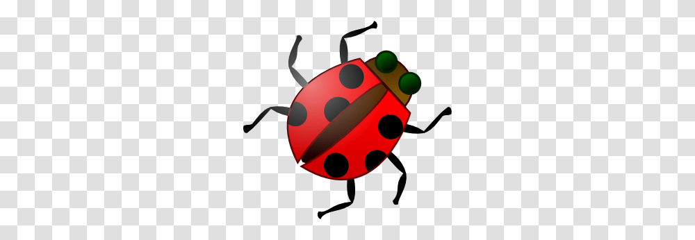 Sweet Red Bug Clip Art For Web, Insect, Invertebrate, Animal, Tick Transparent Png