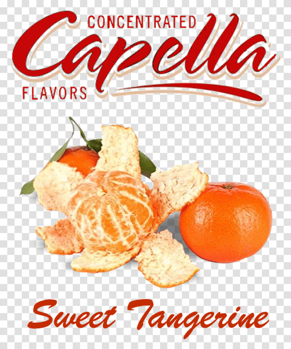 Sweet Tangerine Rf By Capella Concentrate The Clam Shack, Citrus Fruit, Plant, Food, Orange Transparent Png