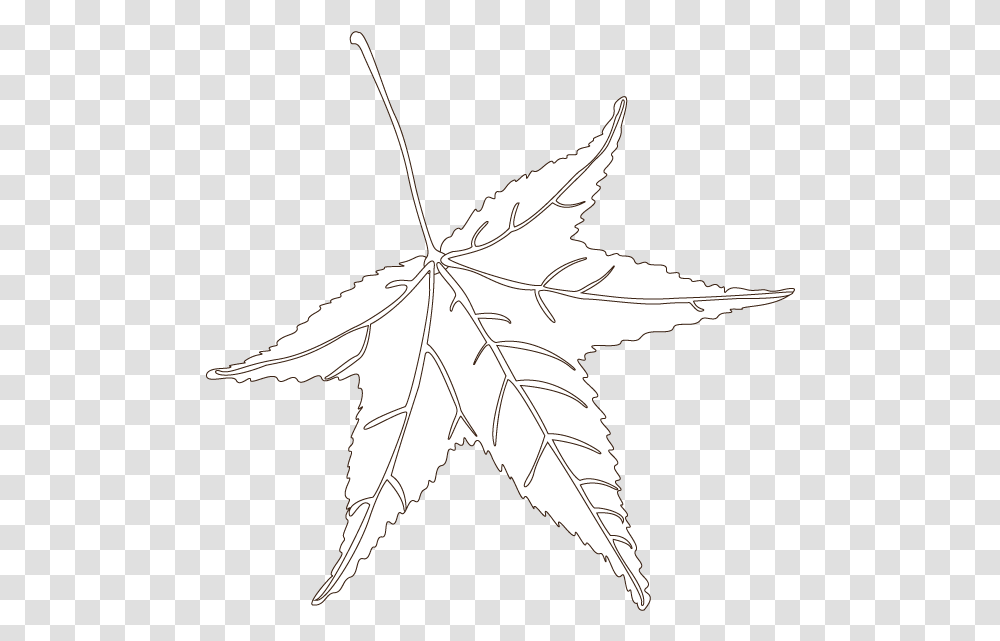 Sweetgum Leaf Maple Leaf, Plant, Tree, Bird, Animal Transparent Png