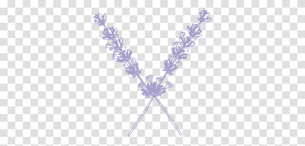 Sweetwater Floral Wedding Flowers, Nature, Ice, Outdoors, Symbol Transparent Png