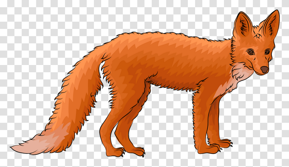 Swift Fox, Wildlife, Animal, Mammal, Red Fox Transparent Png