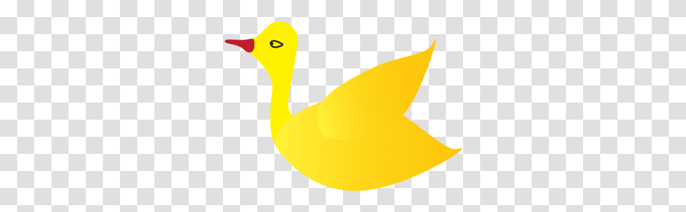 Swiimming Goose 2 Image Duck, Animal, Bird, Canary Transparent Png