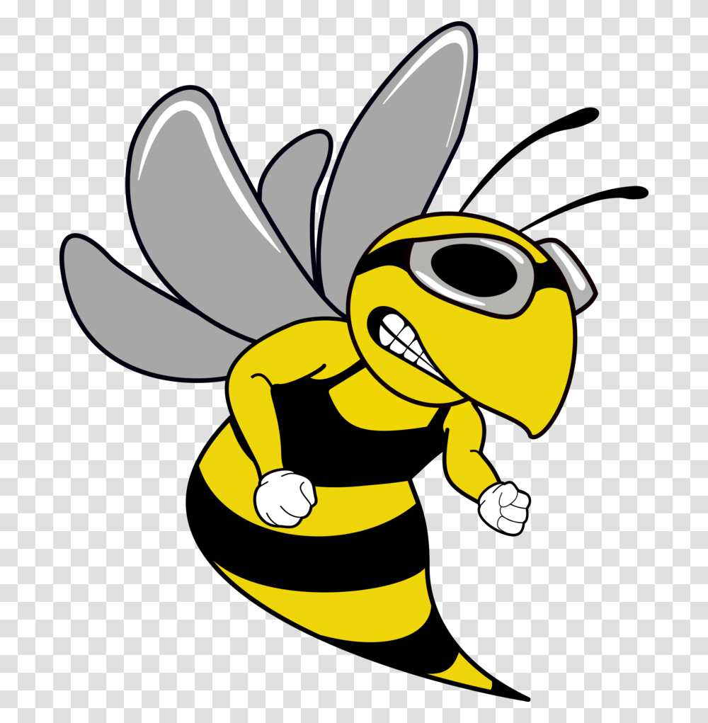 Swim Team Hornet Mascot, Wasp, Bee, Insect, Invertebrate Transparent Png