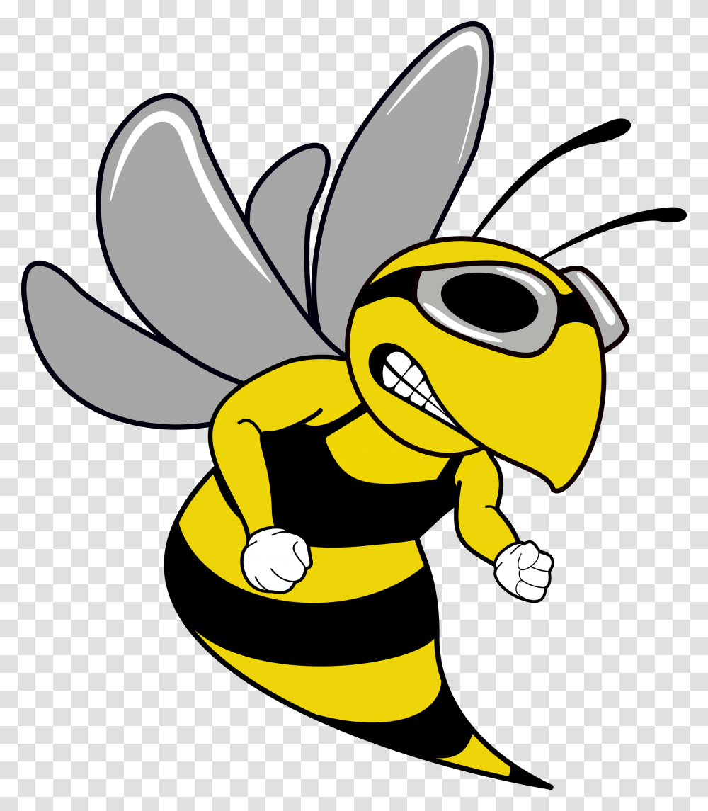Swim Team Hornet Mascot, Wasp, Bee, Insect, Invertebrate Transparent Png