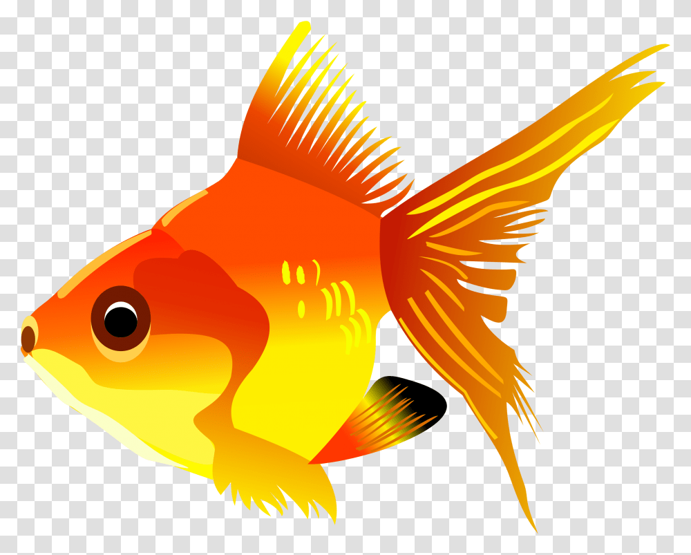 Swimmer Clipart Fish Golden Fish Clipart, Goldfish, Animal, Bird Transparent Png