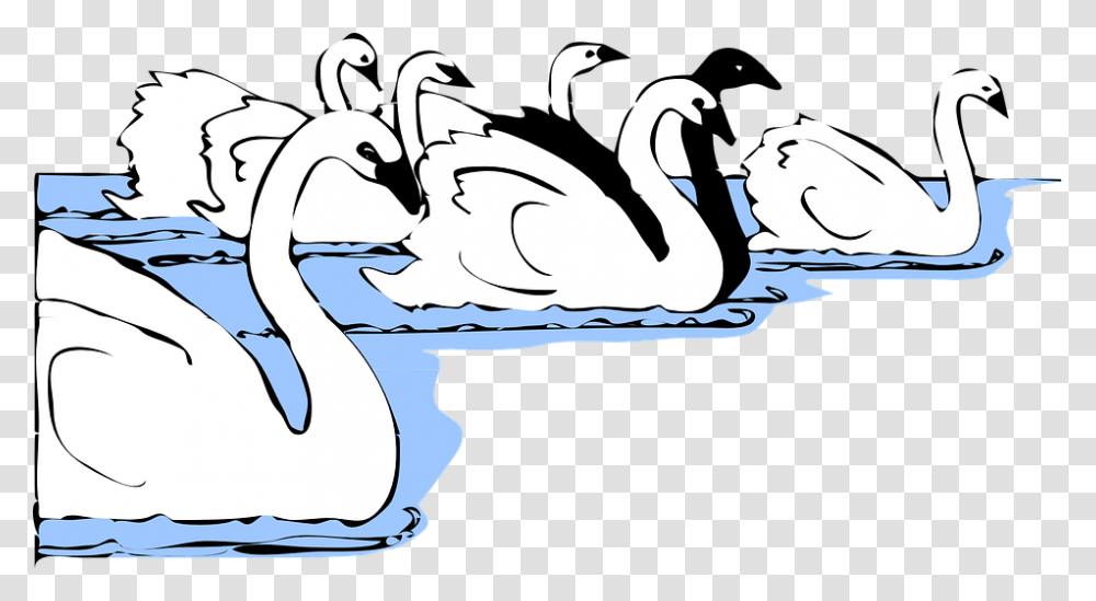 Swimmer Clipart Free Group Of Swan Cartoon, Bird, Animal, Penguin, Goose Transparent Png