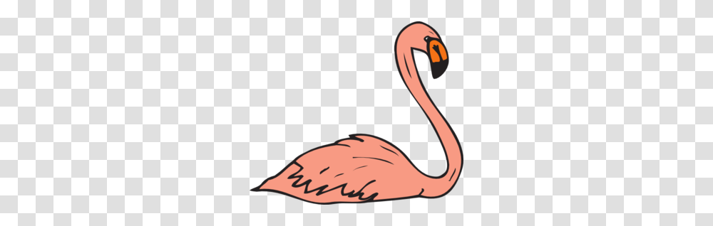 Swimming Flamingo Clip Art, Animal, Bird, Waterfowl, Beak Transparent Png