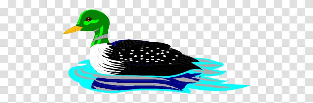 Swimming Loon Clip Art, Bird, Animal, Mammal, Sea Life Transparent Png