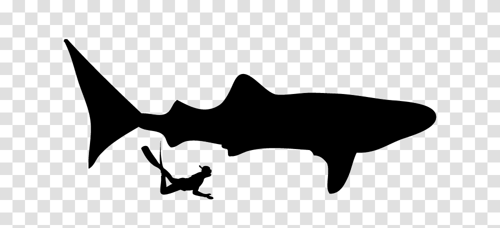 Swimming With Whale Sharks One Long Trip, Silhouette, Animal, Mammal, Wildlife Transparent Png