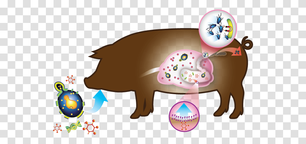 Swine Hilyses Components Feed Swine Gut Health, Mammal, Animal, Wildlife, Aardvark Transparent Png