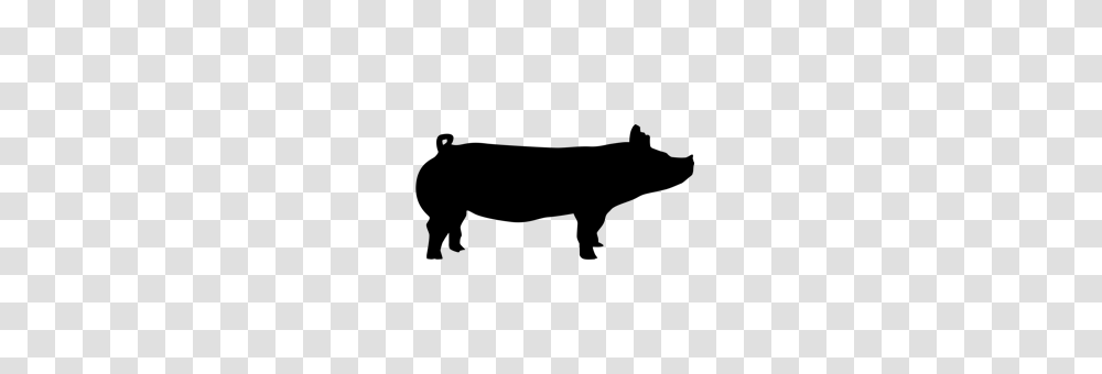 Swine Products, Gray, World Of Warcraft Transparent Png