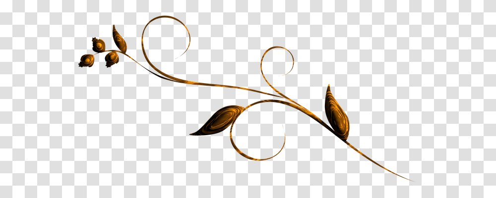 Swirl Tool, Floral Design Transparent Png