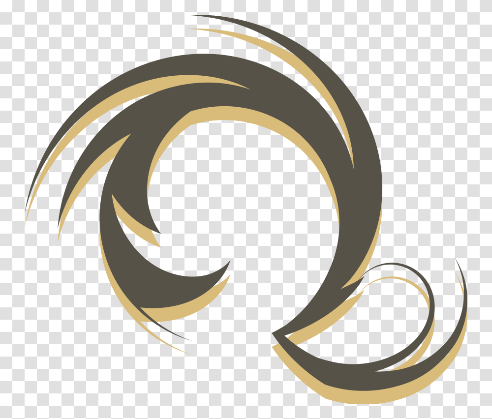 Swirl Designs, Spiral, Animal Transparent Png