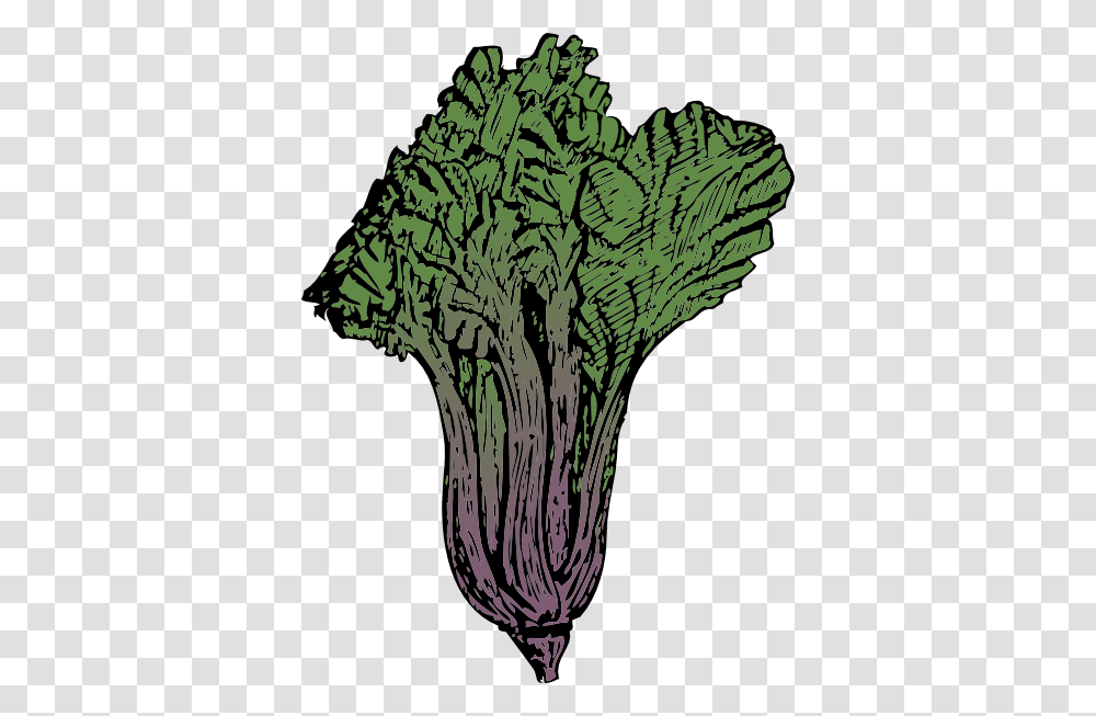 Swiss Chard Clip Art, Plant, Vegetable, Food, Kale Transparent Png