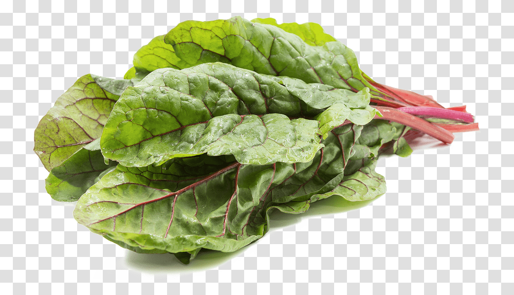 Swiss Chard Photo Image Swiss Chard, Plant, Spinach, Vegetable, Food Transparent Png