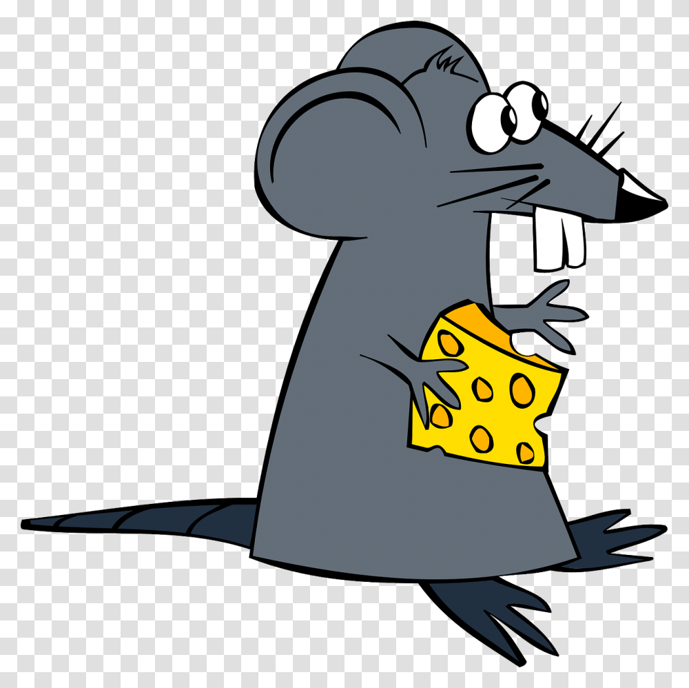 Swiss Cheese Clipart, Animal, Mammal, Sea Life Transparent Png