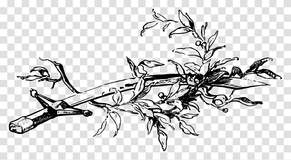 Sword And Olive Branch Clip Arts Sword And Olive Branch, Gray Transparent Png