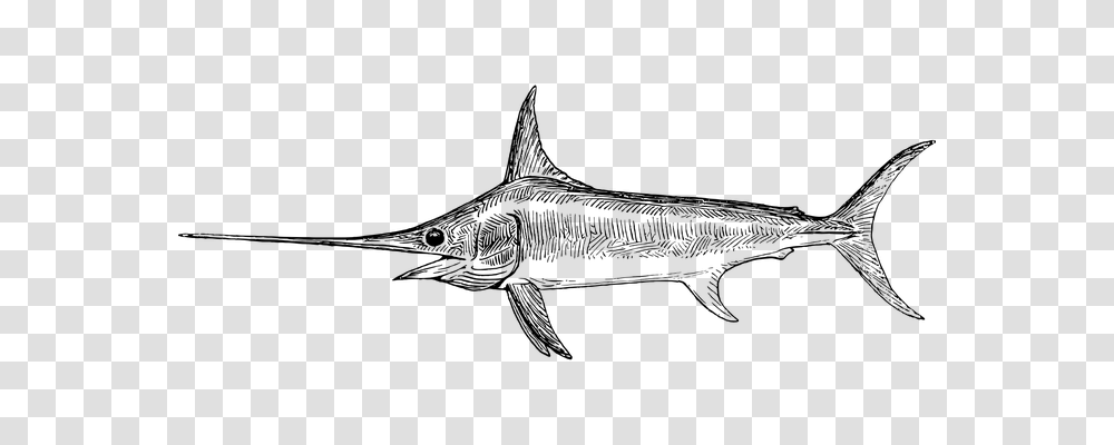 Swordfish Technology, Gray, World Of Warcraft Transparent Png