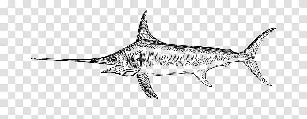 Swordfish, Animals, Gray, World Of Warcraft Transparent Png