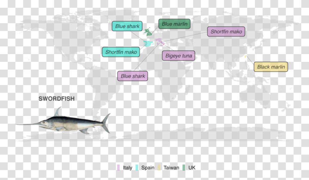 Swordfish Fs Seafood Ethics Sailfish, Plot, Map, Diagram, Atlas Transparent Png