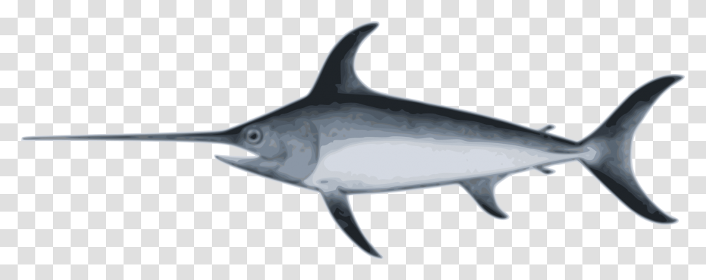 Swordfish Recreational Fishing Billfish Computer Icons Free, Sea Life, Animal, Shark, Tuna Transparent Png