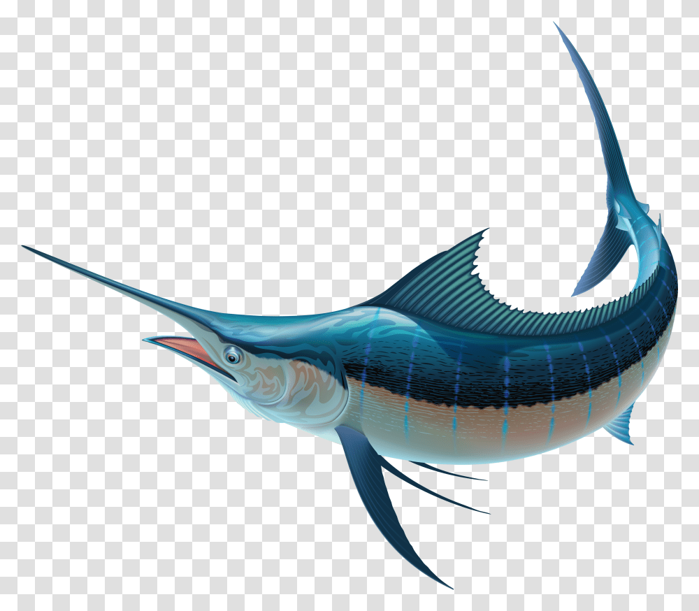 Swordfish Recreational Fishing Sailfish Clip Art Sword Fish, Sea Life, Animal, Bird Transparent Png