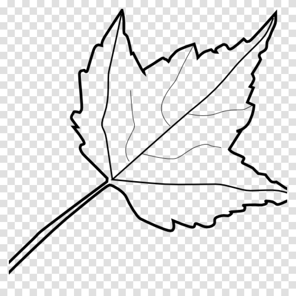 Sycamore Leaf Outline Printable, Gray, World Of Warcraft Transparent Png