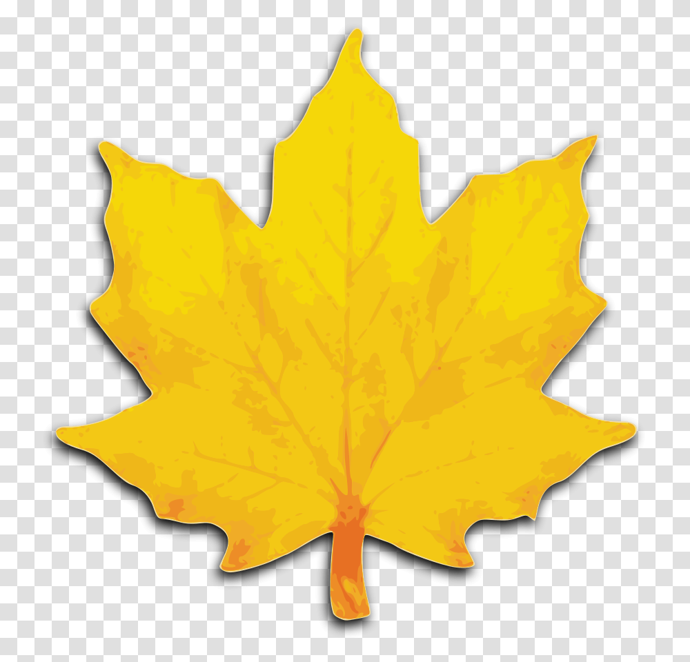 Sycamore Tree Leaf Sycamore Tree Leaf Images, Plant, Maple Leaf Transparent Png