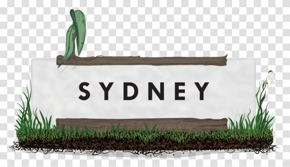 Sydney Grass Landscape Sweet Grass, Outdoors, Animal, Plant Transparent Png
