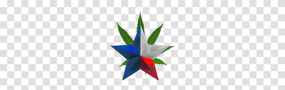 Symbol, Star Symbol, Plant, Leaf Transparent Png