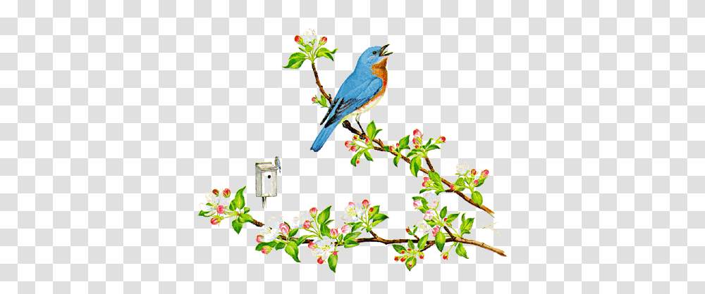 Symbols Of New York State New York State Bird And Flower, Bluebird, Animal, Jay, Blue Jay Transparent Png