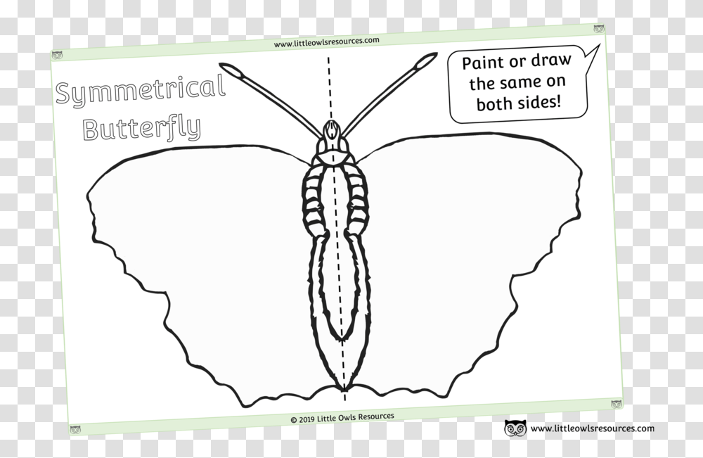 Symmetrical Blank Butterfly Sheet Sketch, Insect, Invertebrate, Animal, Painting Transparent Png